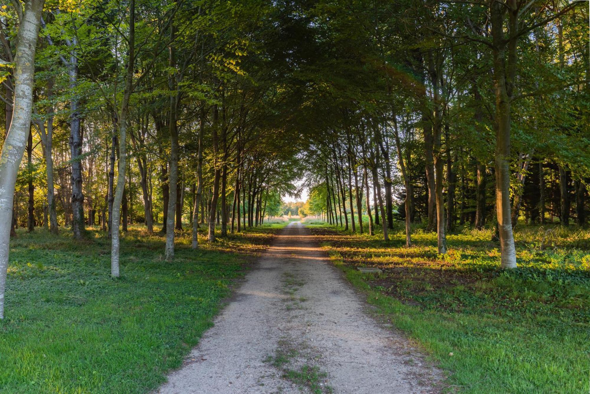 La Maison Corniere Bieville-en-Auge Zewnętrze zdjęcie